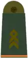 Stabsfeldwebel