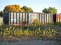 CAGY-„Boxcar“-Güterwagen (2011)