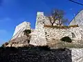 Burgruine von Montoliu de Segarra