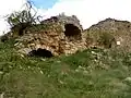 Burgreste Puigdemàger