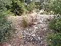 Burgruine