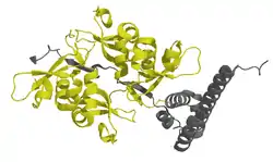 Chromobox-Homolog 1
