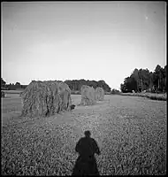 Schweden (1937)