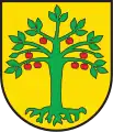 Apfelbaum, bewurzelt (Domleschg GR CH)
