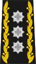 Mounting loop