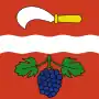Rickenbach (1929; 1646)