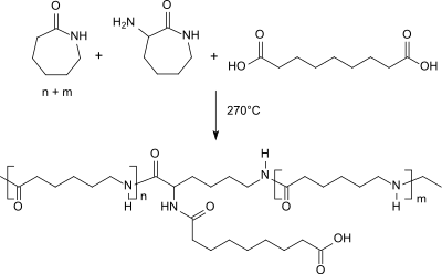 Caprolactam-Copolymere mit Aminocaprolactam