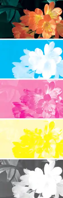 CMYK