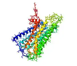 Cannabinoid-Rezeptor 1