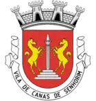 Wappen von Canas de Senhorim