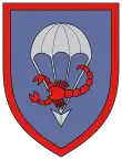 internes Verbandsabzeichen