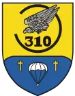 Internes Verbandsabzeichen