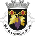 Wappen von Carregal do Sal