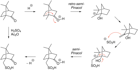 Reaktionsmechanismus der Sulfonierung von Campher zu Camphersulfonsäure.