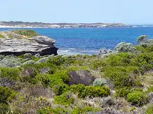 Östlicher Teil der Bucht