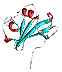CXCL12