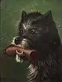 Hund mit Wurst