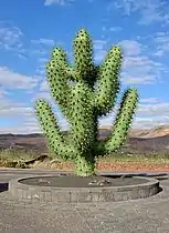 Metallskulptur eines Pachycereus am Eingang