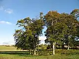 Cairn von New Fowlis