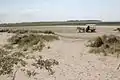 Kutsche für Touristen