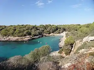 Blick in die Cala sa Nau