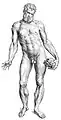 Männliche Idealfigur aus dem Buch De humanis corporis fabrica