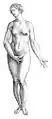 Weibliche Idealfigur aus dem Buch De humanis corporis fabrica