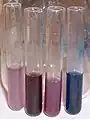 Ba – Sr – Ca – Mg