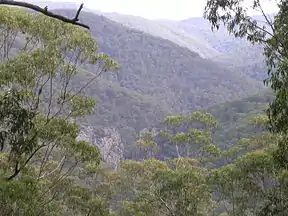 Callaghans Canyon im Nowendoc-Nationalpark