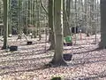Forschungsfeld im Norden