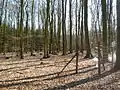Forschungsfeld