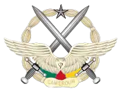 Emblem der AAC