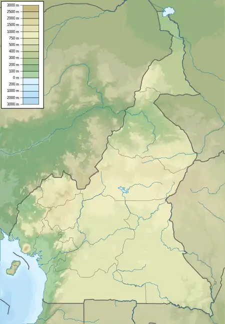 Kamerun (Kamerun)