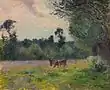 Vaches dans un pré, soleil couchant