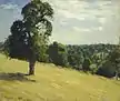 Le Grand Poirier à Montfoucault