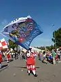 Fahnenschwenker