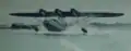 Landung einer CANT Z.508