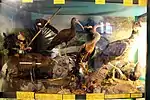 Im museo zoologico