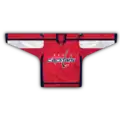 Heimtrikot(seit 2007)