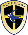 Logo des Cardiff City FC von 2003 bis 2008