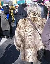 Kleinfleckkatzen-Jacke (2011)