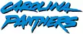 Wortmarke der Panthers von 1996 bis 2011