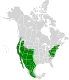 1978–1981