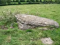 Clonfinlough-Stein