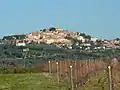 Castagneto Carducci