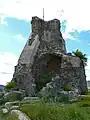 Reste der Burg