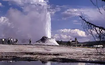 1966
