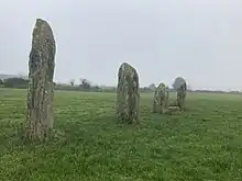 Steinreihe von Castlenalacht