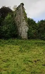 Ruinen des Caherelly Castle