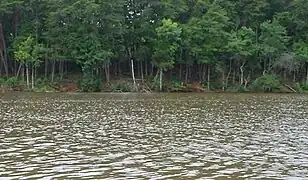 Catawba River